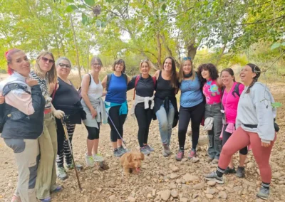 Actividades